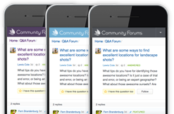all themes are mobile friendly
